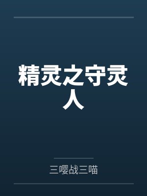 精灵之守灵人封面